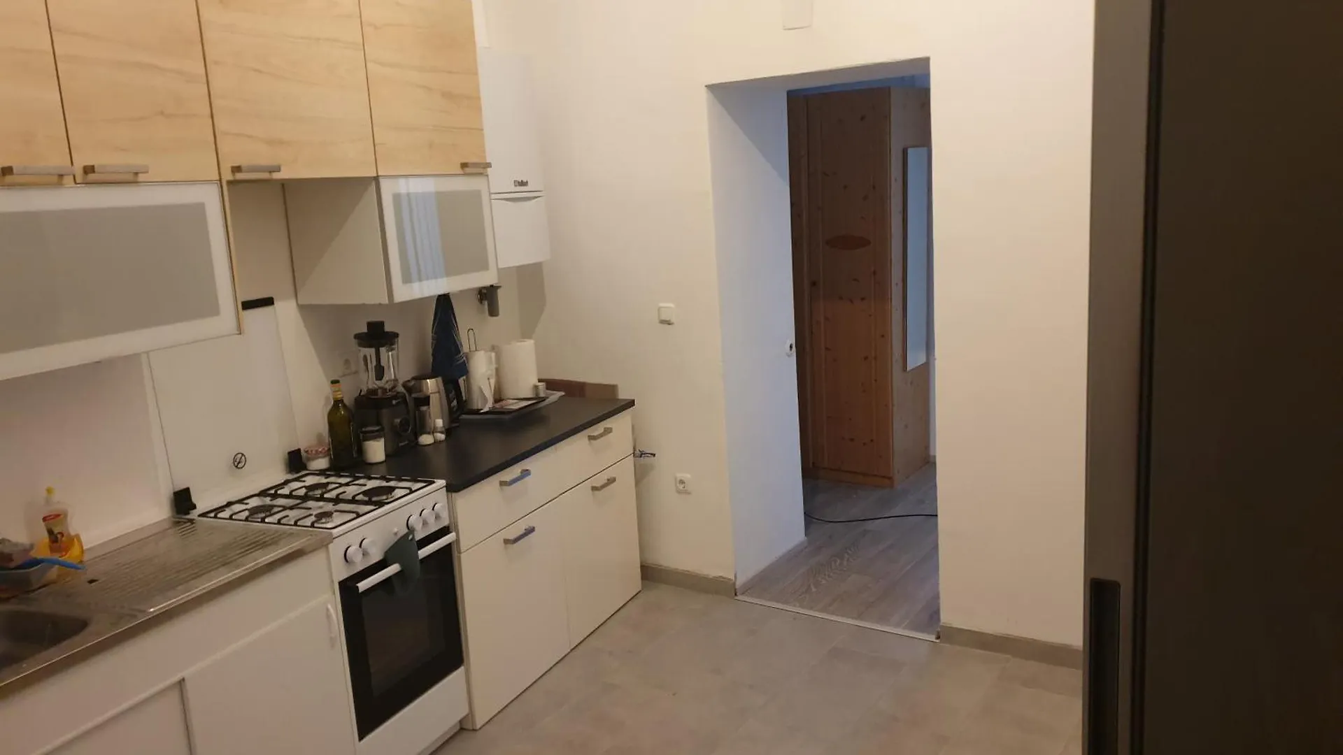 Apartment Central Large House Heart Of Vienna