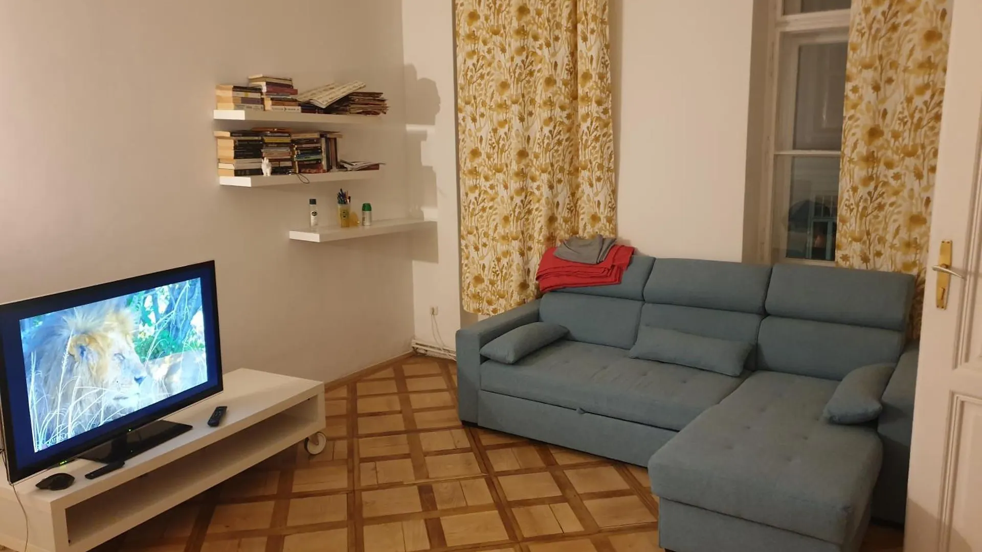 Central Large House Heart Of Vienna Apartment